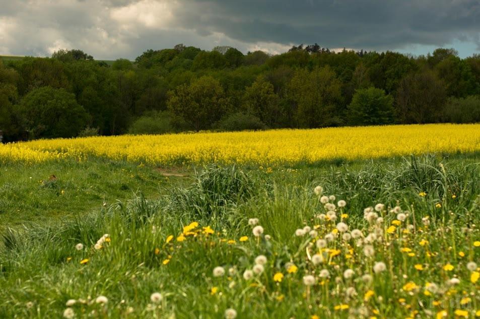 Penzion Na Kopci Vřesina Esterno foto